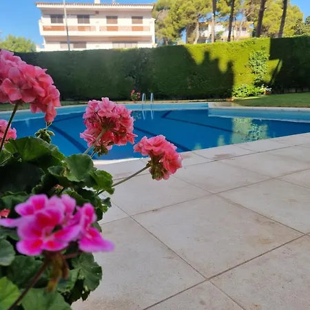 Comodo Con Terraza A 200 M De La Playa - Hisp-236-176 * Torroella de Montgrí